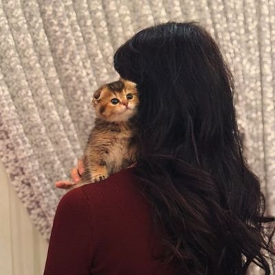 aN__0000's profile picture. 