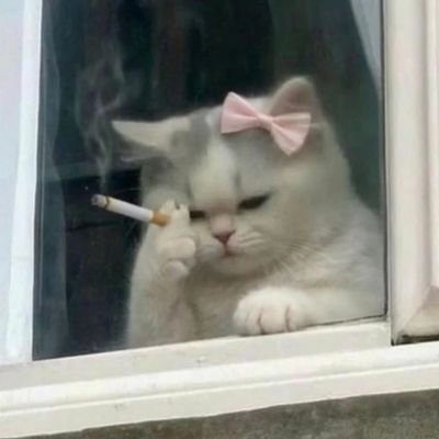 cherryx_lady's profile picture. nauseatingly miserable beyond repair🥂