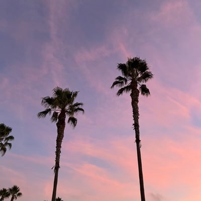 chernega57077's profile picture. 💙 | 🇺🇦 Ukrainian & proud | 
🔗  | Mitosis OG | 
🧬  | MORSE holder | 
🚀  | ASC holder |