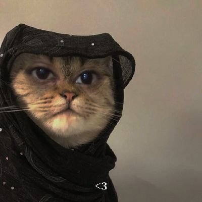 sahranhere's profile image