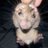 zipforme_'s profile image