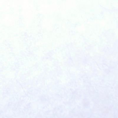 G240X's profile picture. CATOLICO
rayado,regio,blanco 
DERECHISTA🐏🤠

Unico e incomparable en todo sentido