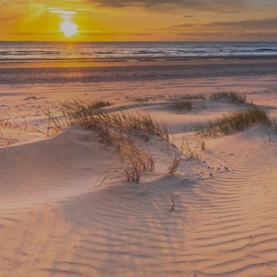 o620564S's profile picture. september 30 1998