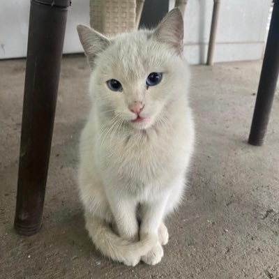 foreveryoung371's profile picture. whiteroom