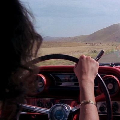 SandyEgomania's profile picture. 🎬