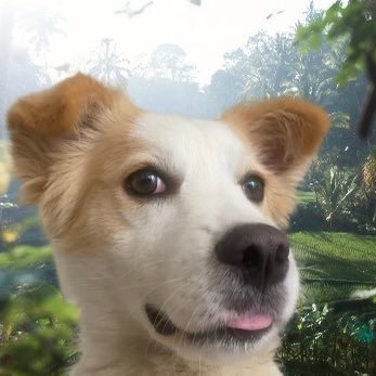 vacunapolitica's profile picture. Opiniones, comentarios y activismo político para exigir responsabilidad institucional 🇨🇴. Derechos de petición, denuncias y demandas asistidas con IA.