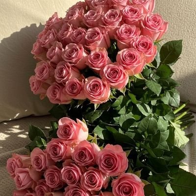 yasmen650t's profile picture. 