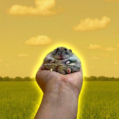 thedustsolana's profile picture. 