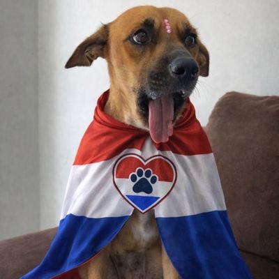 garderina's profile picture. 🖤lic en Administración de Empresa....GH1S..🤍🖤🤍🖤