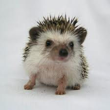 coolmercy2's profile picture. 순간의 소중함!