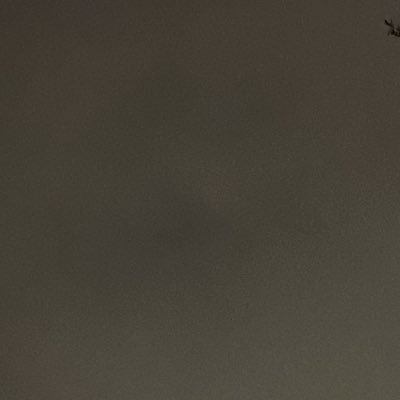 alwayh0rny's profile picture. 21y 163cm fat girl | can we fuck and still be friends? เธอชอบคนอ้วนได้มั้ย เราผอมให้เธอไม่ได้จริงๆ