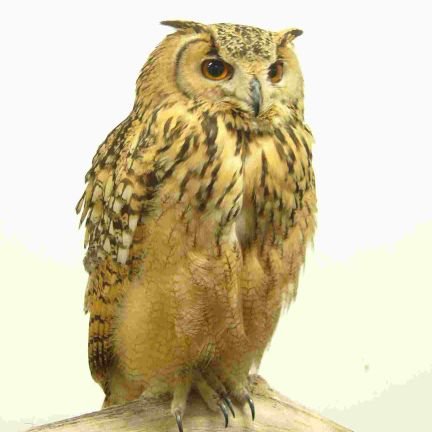 Yesname06112028's profile picture. (๑•̀ㅂ•́)و✧