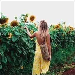 Shahina1507464's profile picture. 