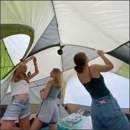 Heather197949's profile picture. 