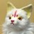 karipuries_jibu's profile image