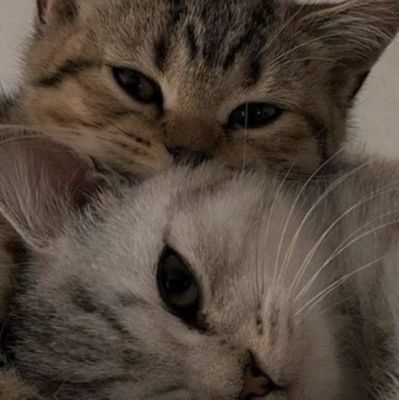 Rasalsabiila24's profile picture. nope