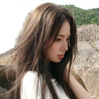 dom2ee_book's profile picture. 