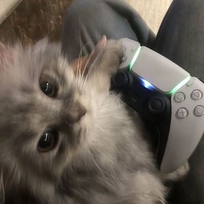 Flayzefn's profile picture. 