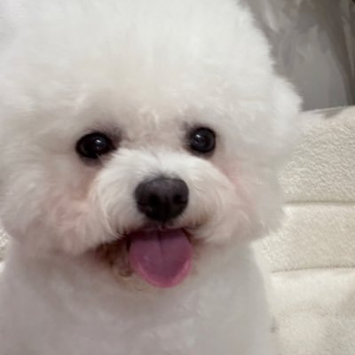 NatkamonKukkik's profile picture. Currently  #NEXnattakit  mom 🐈‍⬛  Falling for #MARCKRIS 🦖