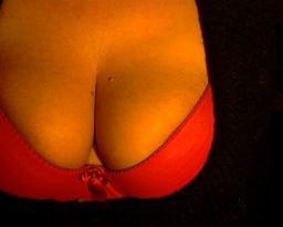 jail account van donatella8416