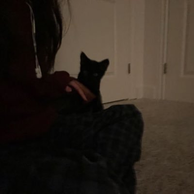 1lican's profile picture. 