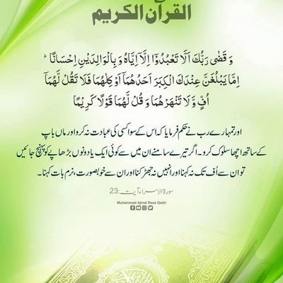 Malik Shahid