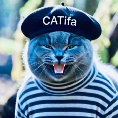 LiberalCofeCat's profile picture. Trump broke America; he’s destroyed our gov, our privacy, our economy. Used our treasury like it’s his own personal ATM. Get Out of OUR House! 🚫DMs will 🅱️