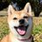 _koyukilog_'s profile image