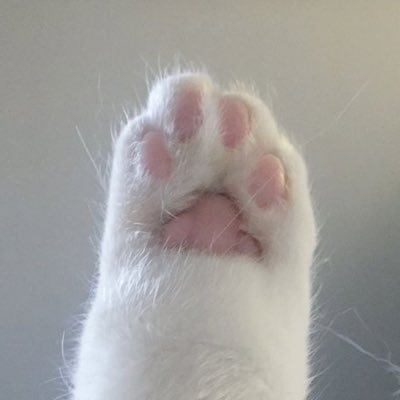 ppwnls's profile picture. 𝚏𝚊𝚗 𝚊𝚌𝚌𝚘𝚞𝚗𝚝 🖖🏻✨💖🍼🥣🎤🪴 🫧🐇🦆 @harit_keng @nampingnapat ขอสมัครเป็นแม่แท้ๆของสองคนนิ เก่งน้ำปิง Forever