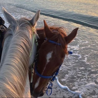 asdxx88's profile picture. ﴿ ﺎستغفرﺎللھ وﺎتوبُ ﺎليھ ﴾