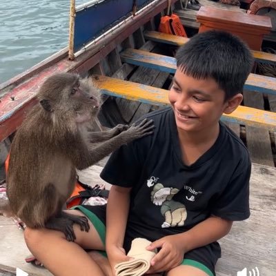 mangiathai69's profile picture. goditi le ansie.