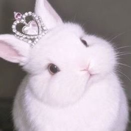 perbjamuan's profile picture. lovely doll,  tempat  nyambat  ♡