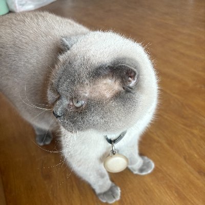 JiahuiLiu6163's profile picture. Bible Beliver! I like to make friends with people of faith. Please don't worry, I don't talk about money, investment, and relationships onlin ...💖Luke 6:31