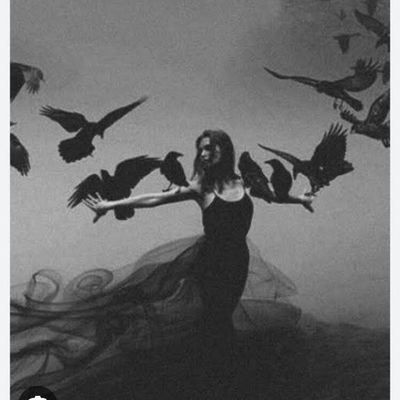 PrithilaV's profile picture. Authenticity never goes out of style..✨🖤