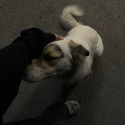 yasljxs's profile picture. 