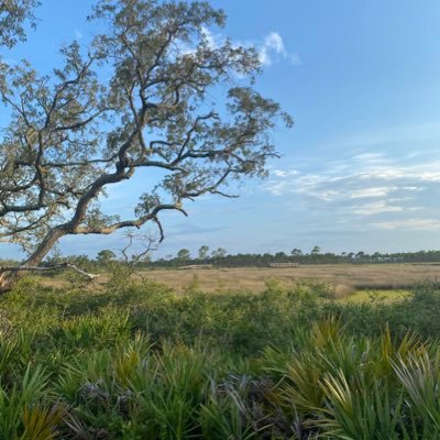 carleycox_'s profile picture. 