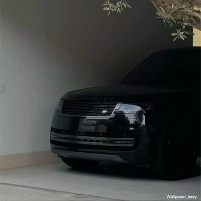 WaseeWasif's profile picture. 