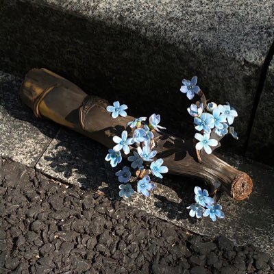 linoceandou's profile picture. 