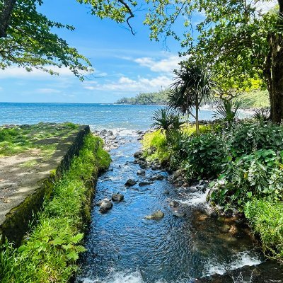 bo97470's profile picture. 🇷🇪