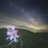 _nz5l's profile image