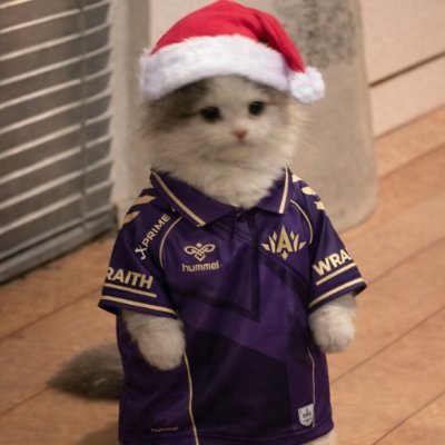 _ExmoR_'s profile picture. #FORZABBL
20yo