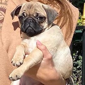 Catherine2lqc6's profile picture. Beauty Advocate | Brand Rep | Passionate about Cosmetics & Business Growth. Curious by nature.  A bit chatty  
NO Sales Pitches.  NO Porn.