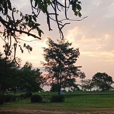 eniola_olayode_'s profile picture. 