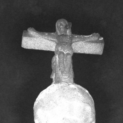 barbara2pereira's profile picture. 161