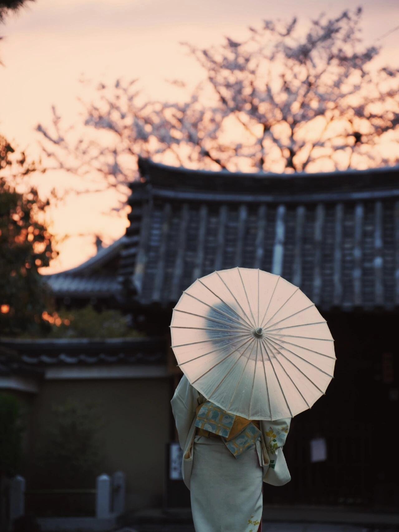 9xIB78IhXxY10's profile picture. 平成元年生まれ、36歳。 まだ独身。だれか貰ってくれる?
私に優しくしてくれる人が好きです😊💕 💦 🔥 🍬 🌱 🍄