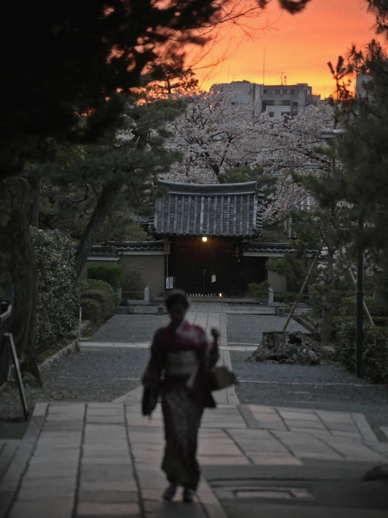 58dM8033vNs9B7's profile picture. 平成元年生まれ、36歳。 まだ独身。だれか貰ってくれる?
私に優しくしてくれる人が好きです😊💕 🌸 🎉 🌐 🔥