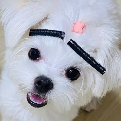 davelee381's profile picture. 맞팔갑니다!