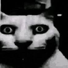 aaronG50's profile picture. [Everyone disliked that]