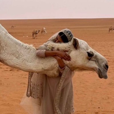 ww2001_'s profile picture. ..