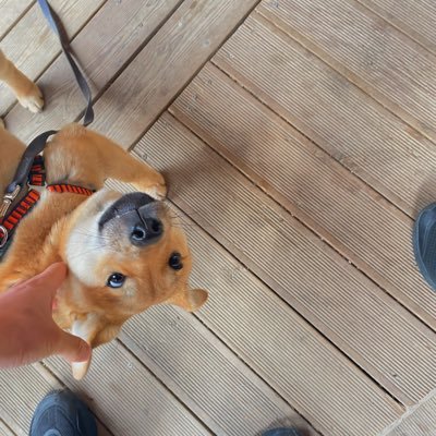 Cm5aX's profile picture. $Tsla $Eth